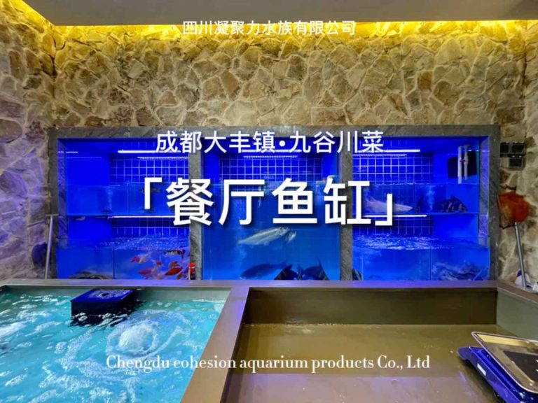 成都大丰镇口九谷川菜