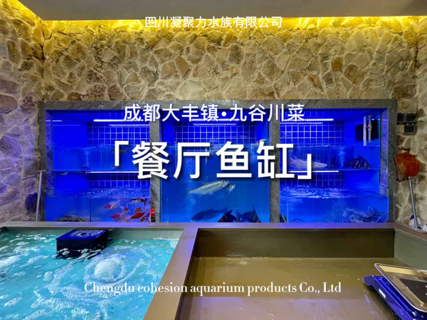 成都大丰镇口九谷川菜