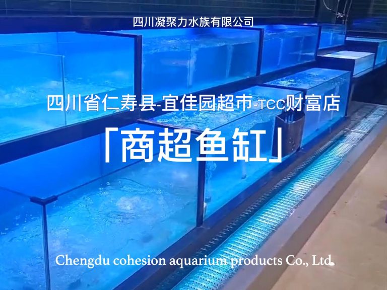 四川省仁寿县宜佳园超市TCC财富店