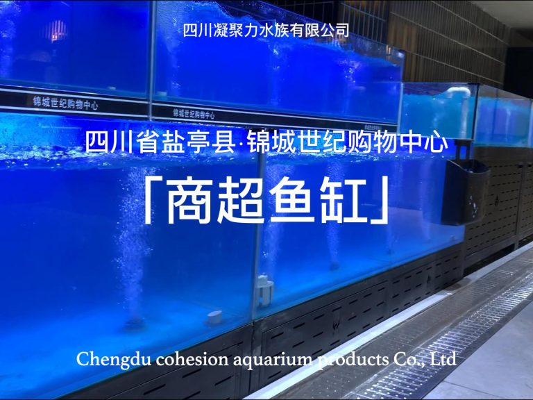 四川省盐亭县锦城世纪购物中心