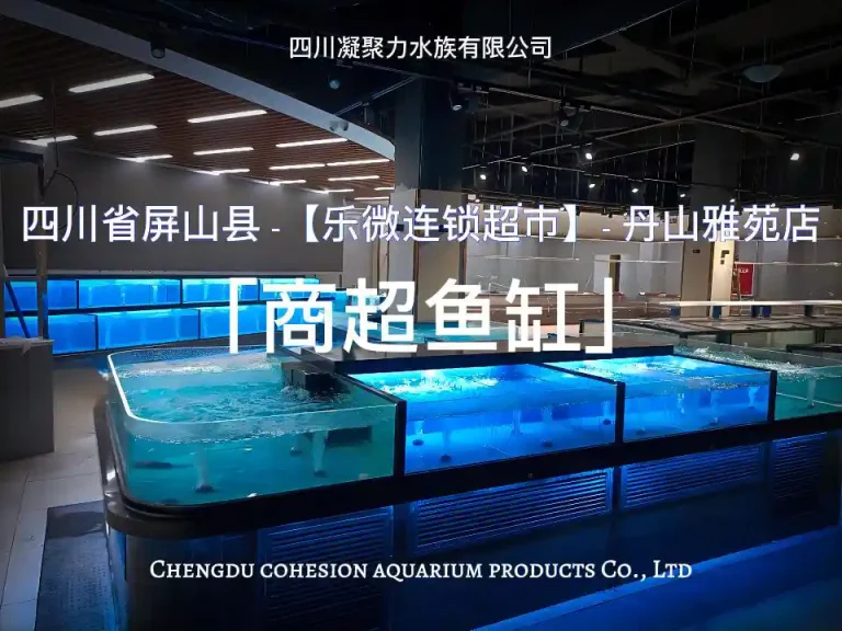 四川省屏山县乐微连锁超市丹山雅苑店