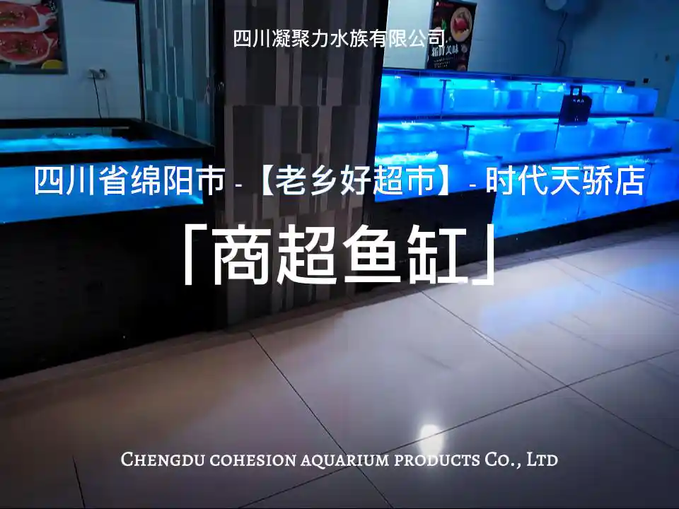 四川省绵阳市老乡好超市时代天骄店