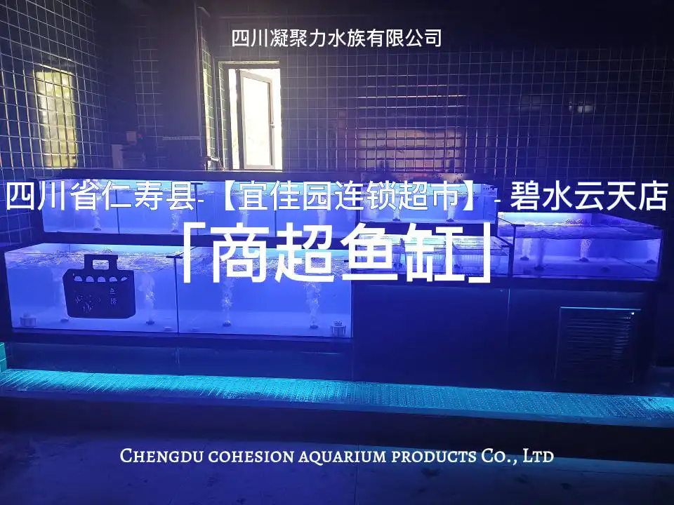 四川省仁寿县-宜佳园连锁超市-碧水云天店