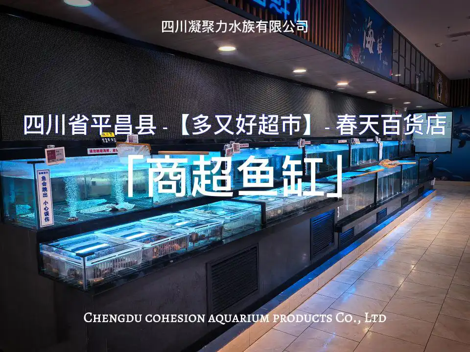 四川省平昌县多又好超市春天百货店