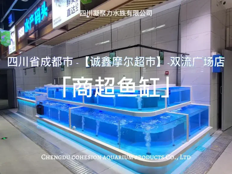 四川省成都市诚鑫摩尔超市双流广场店