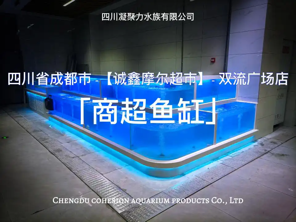 四川省成都市诚鑫摩尔超市双流广场店