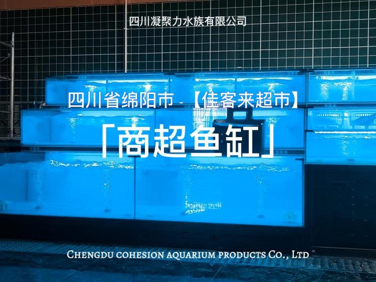 四川省绵阳市佳客来超市