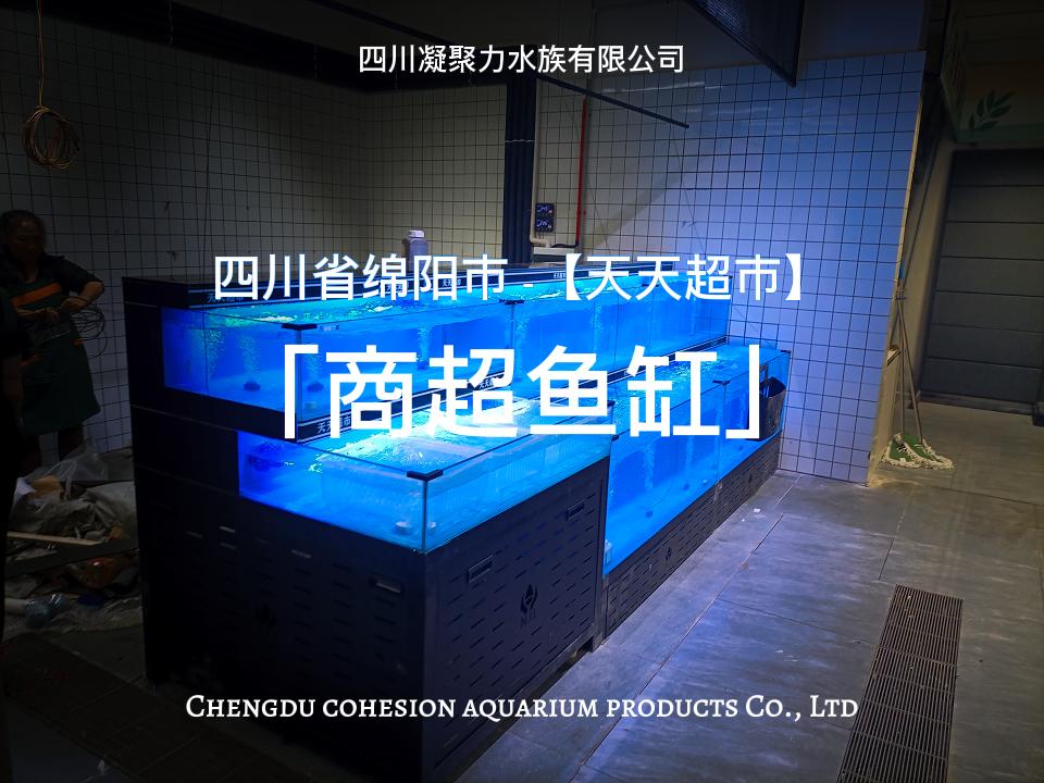 四川省绵阳市天天超市