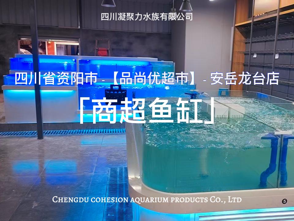 四川省资阳市品尚优超市安岳龙台店