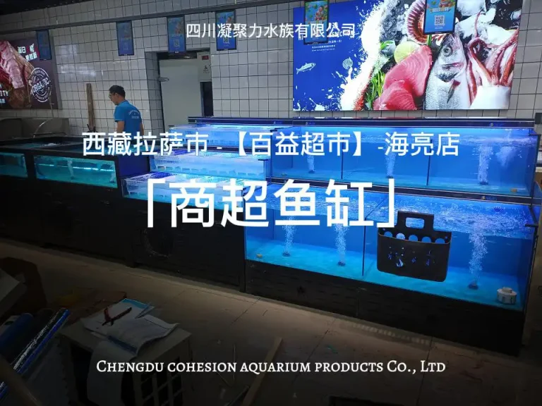 西藏拉萨市百益超市海亮店