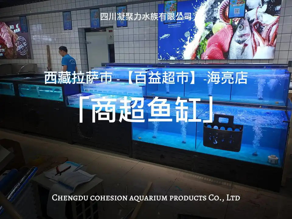 西藏拉萨市百益超市海亮店