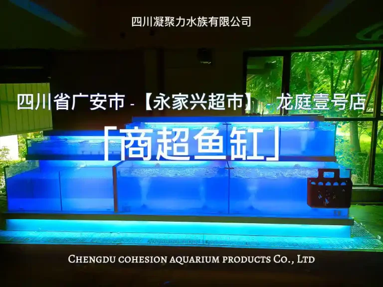 四川省广安市永家兴超市龙庭壹号店