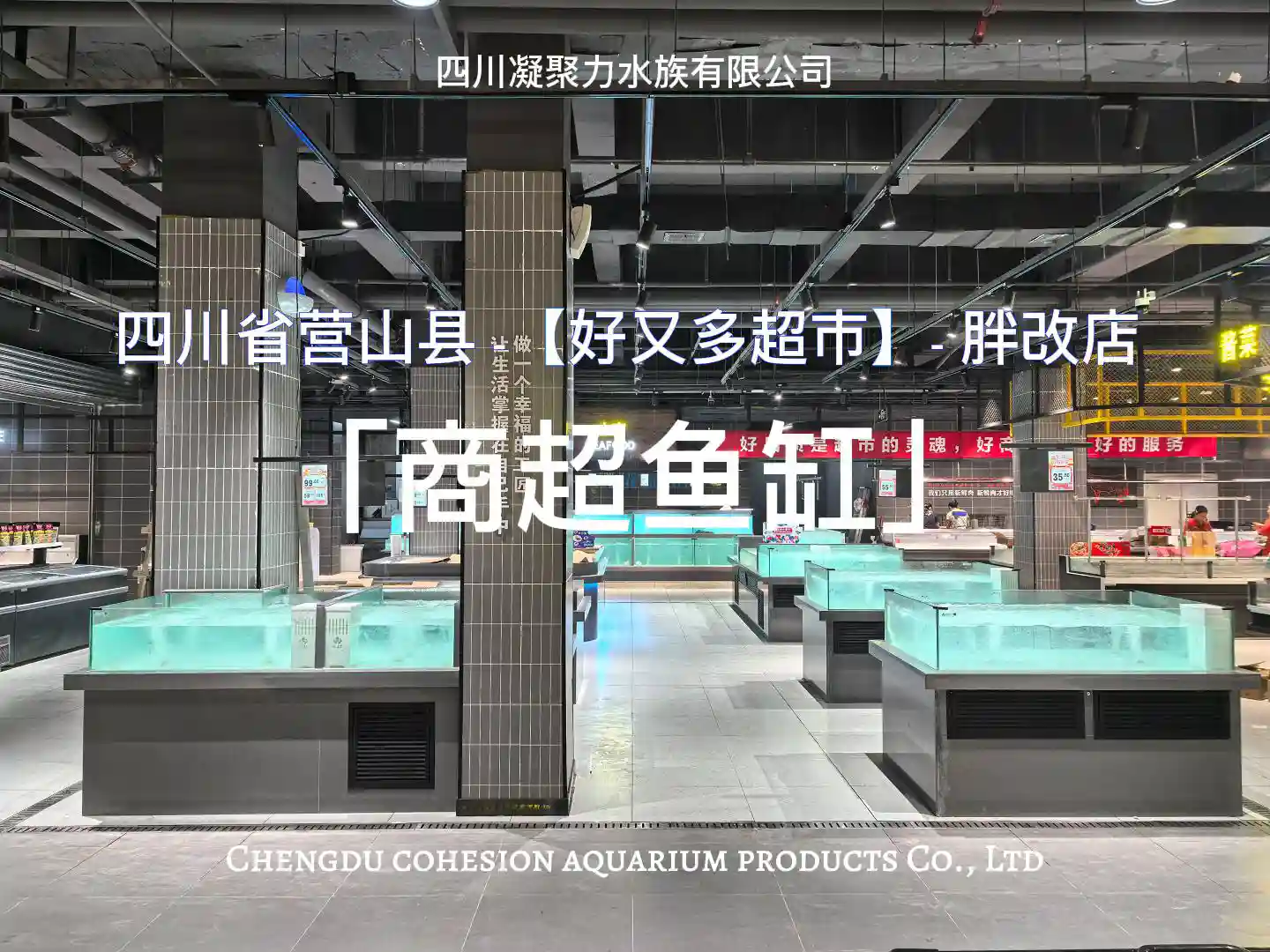 四川省营山县好又多超市胖改店