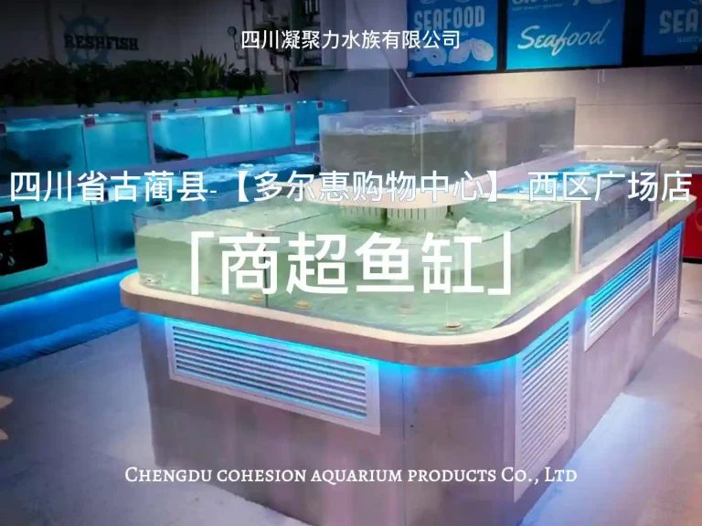 四川省古蔺县多尔惠购物中心西区广场店