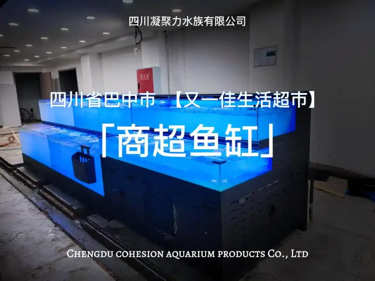 巴中巴州尚府街又一佳生活超市